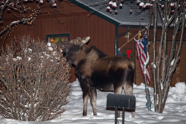 169000_10150097650617121_344095_n