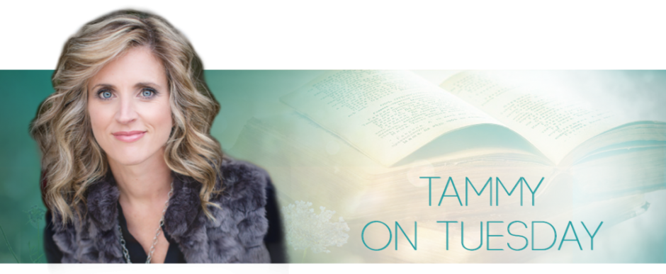 tammy-on-tuesday-header-2016