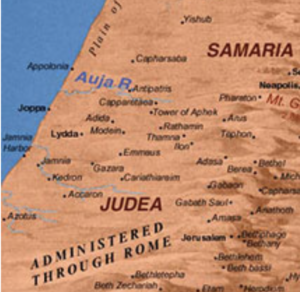 Screen Shot 2017-10-17 at 9.07.35 AM